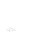 Ville Nyon